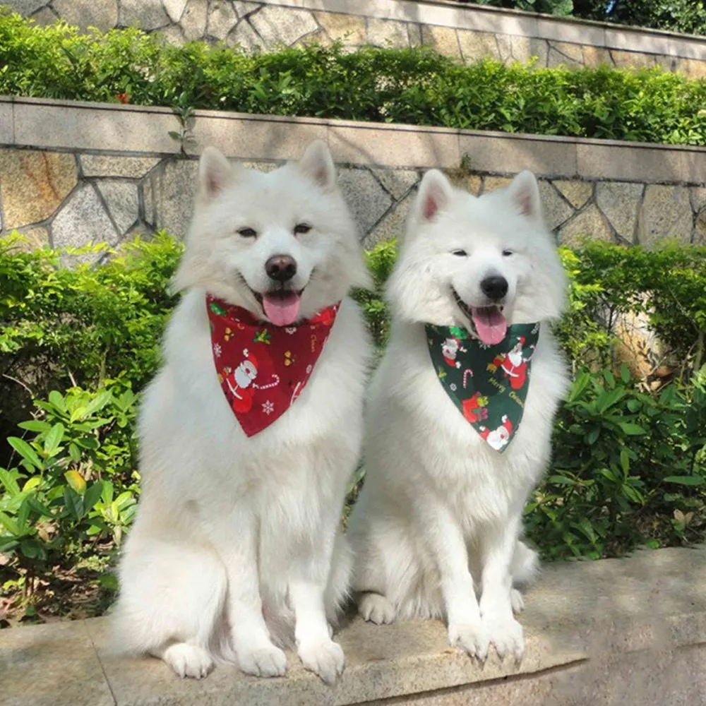 Kule-Sokker Jule Bandana halstørkle hund jul