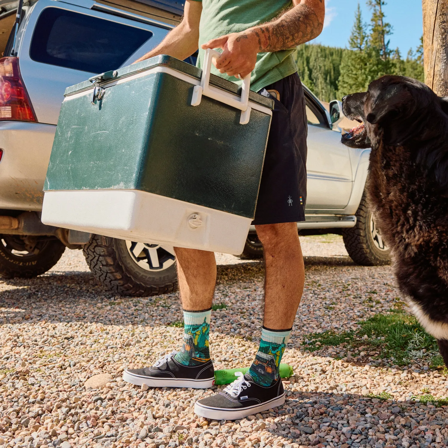 Smartwool Hike Trail Trekker Print tursokker grønn