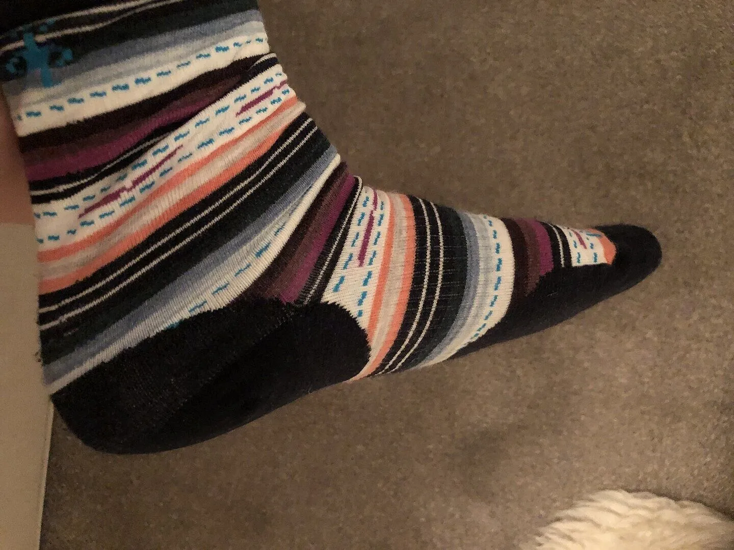 Smartwool Everyday Stitch Stripe sokker fossil-lilla crew