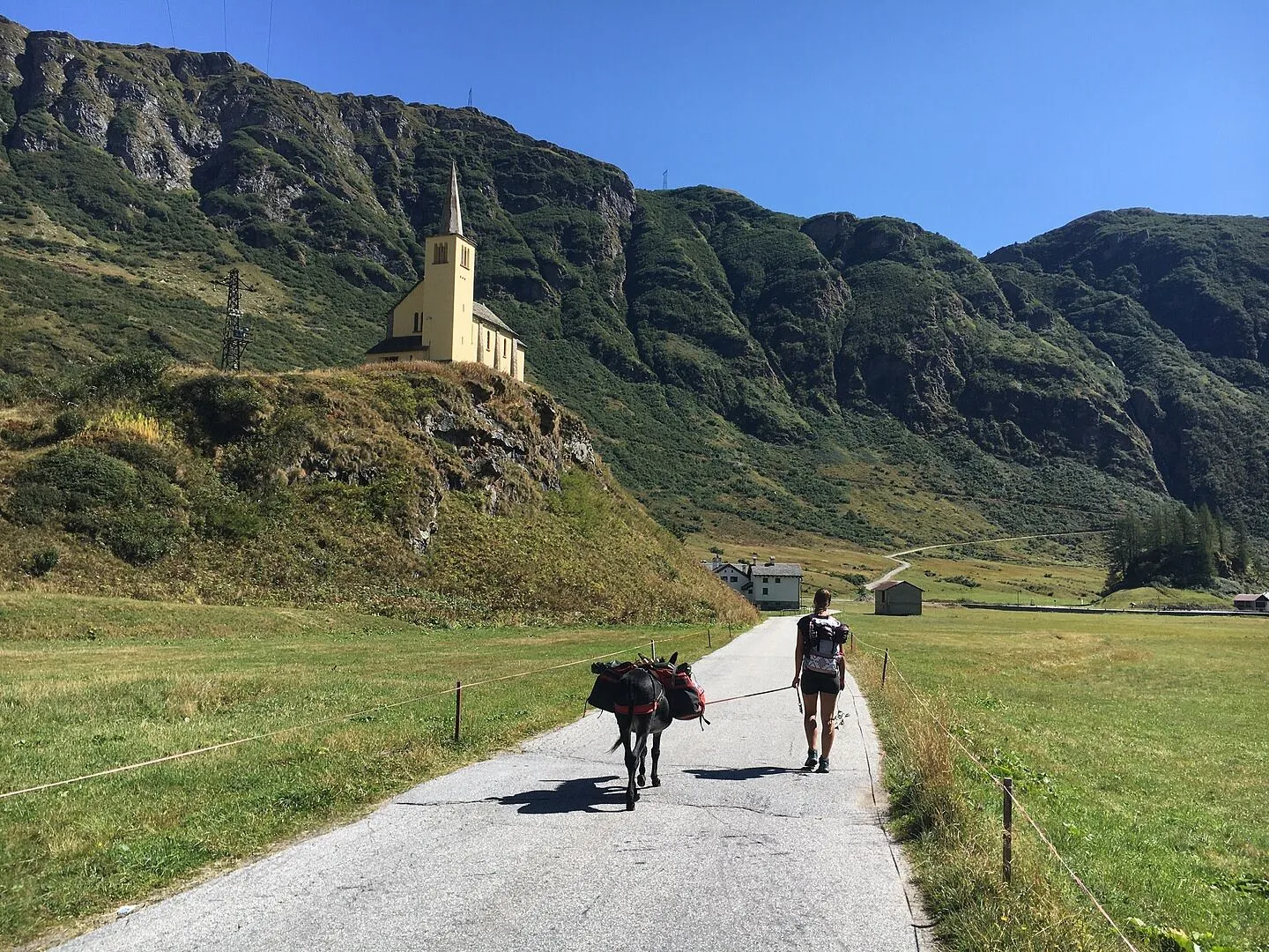 Rohner Trek'n Travel L/R tursokker antibakteriell