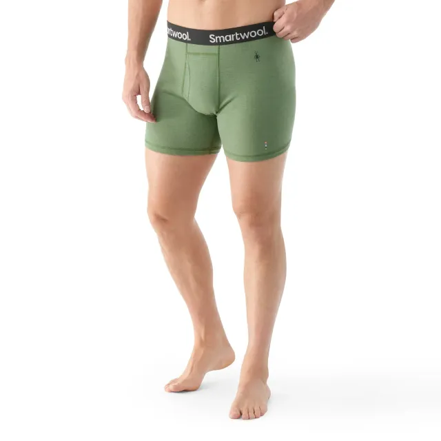 Smartwool Merino Boxer Brief boksershorts fern green merinoull